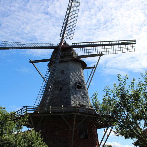 Holländerwindmühle Gilten (c) KoRiS