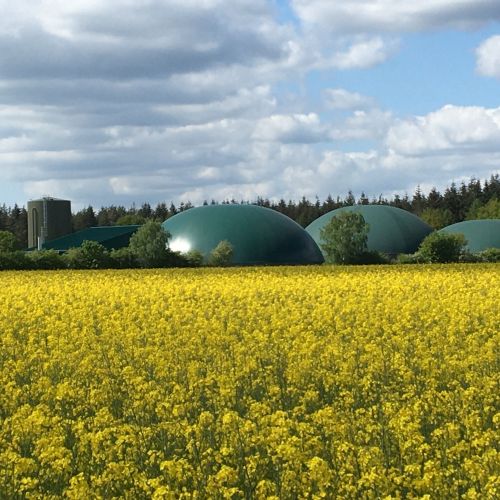 Biogasanlage und Rapsfeld (c) KBB